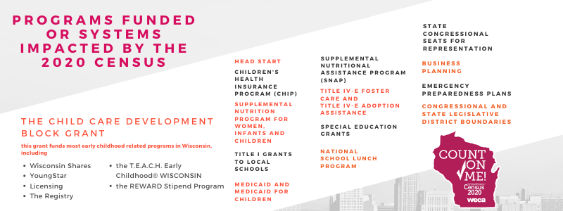 Programs FUnded or systems impacted by the 2020 Census